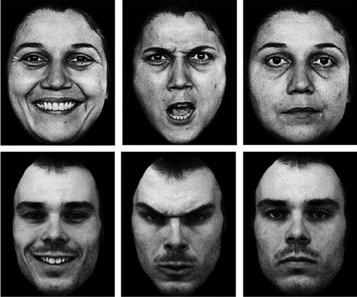 Как определить свои эмоции. Пол Экман микромимика. Эмоции человека. Эмоции на лице человека. Эмоции картинки.